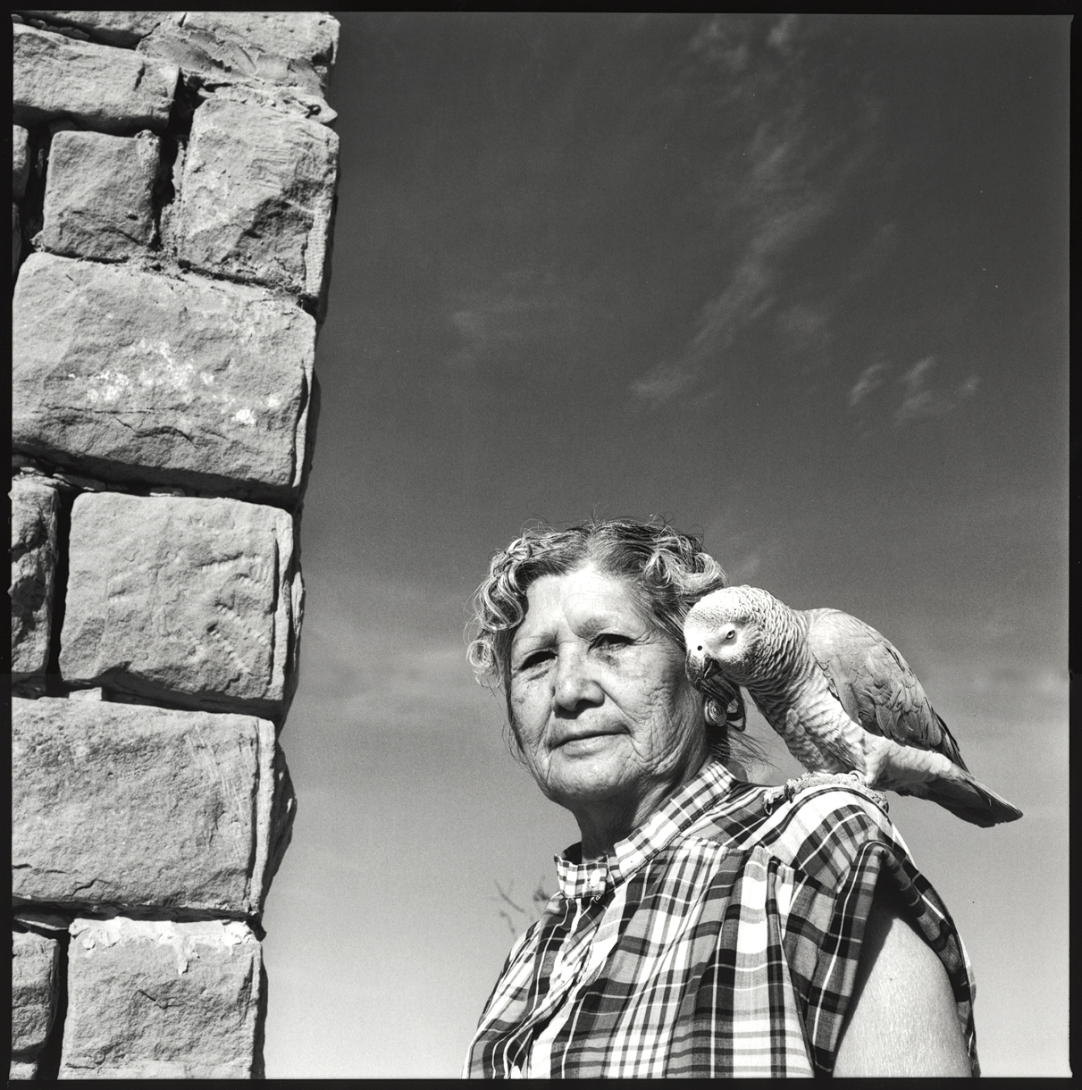 Hopi Parrot Clan